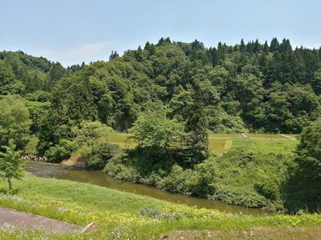 里山の風景 里山の風景の写真