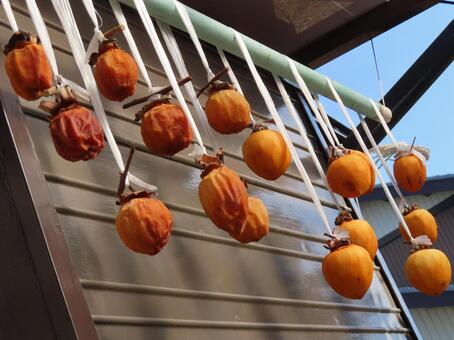 つるし柿 つるし柿,軒下,しぶ柿の写真素材