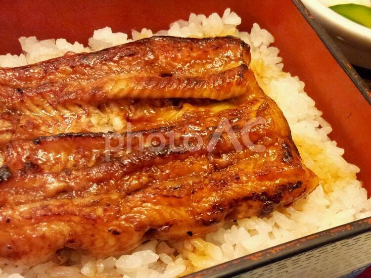 土用の丑の日はうなぎでうな重 うなぎ,ウナギ,うな重の写真素材
