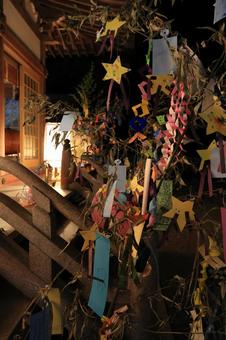 矢川神社の七夕 矢川神社の七夕 矢川神社,七夕,7月の写真素材