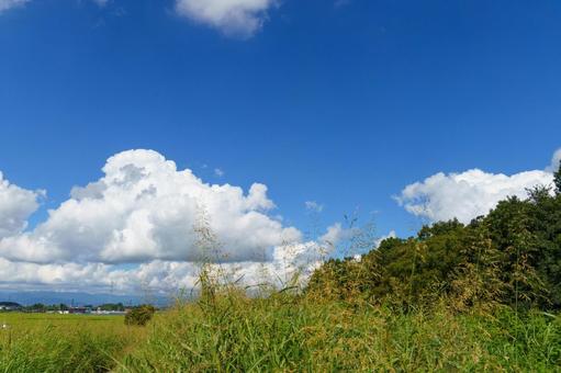 青空と夏の白い雲 青空と夏の白い雲の写真