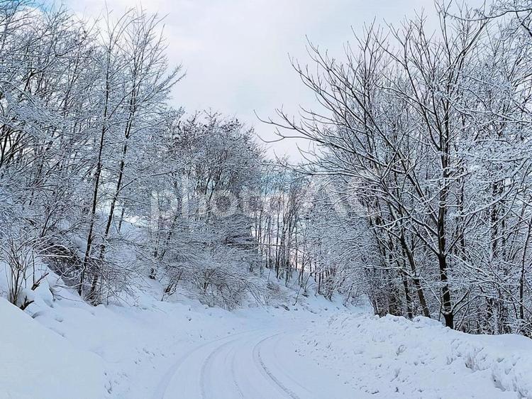 1月の里山26 1月,雪国,里山の写真素材