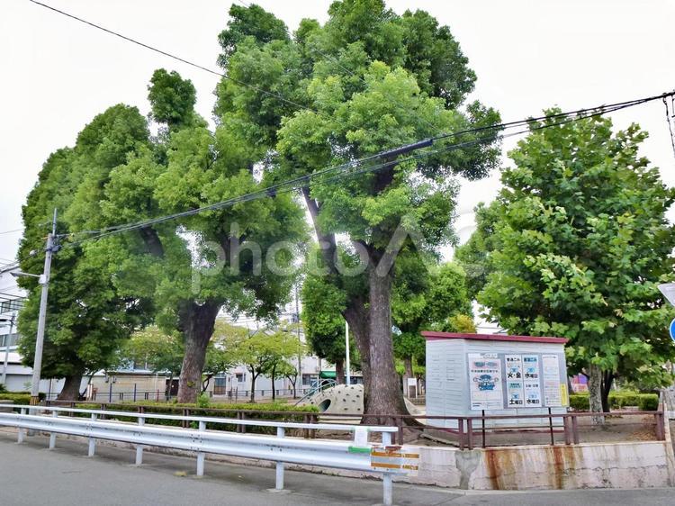 昭和の雰囲気を残す町角の児童公園 町角,隘路,町並みの写真素材