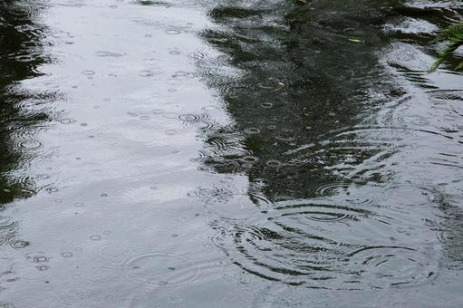 雨の日 雨の日の写真