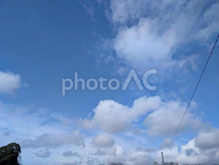 美しい青い空と白い雲と木々と電線と電柱 木,木々,雲の写真素材