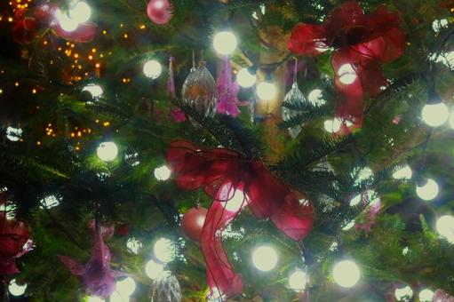 イルミネーションの接写 イルミネーション,自然,キラキラの写真素材