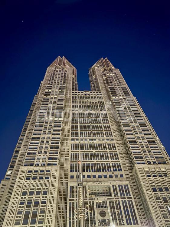 夜の東京都庁を見上げる 夜景,夜空,ライトアップの写真素材