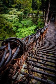 四国　徳島　祖谷のかずら橋 祖谷のかずら橋,四国,四国地方の写真素材