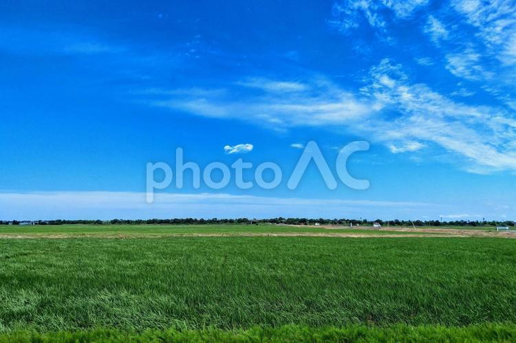 田園風景 田園,田園風景,田んぼの写真素材