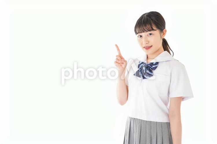 手を上げて発表をする学生 発表,手をあげる,授業の写真素材