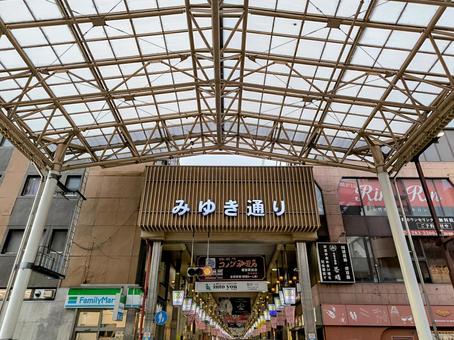 Photo, shopping street, miyuki street, bustling street, 