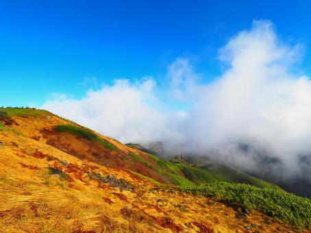 紅葉(天狗原山・金山) 紅葉(天狗原山・金山) 紅葉,もみじ,秋の写真素材