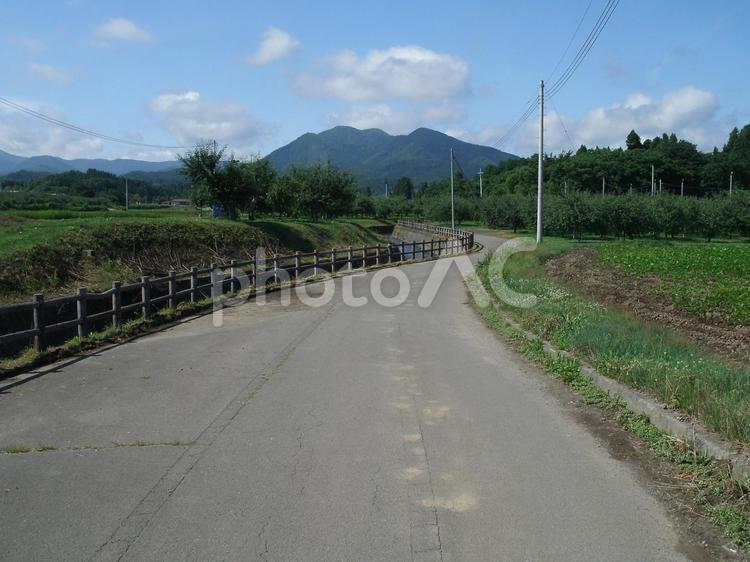 弘前サイクリングロードと岩木山 岩木山,弘前,サイクリングロードの写真素材