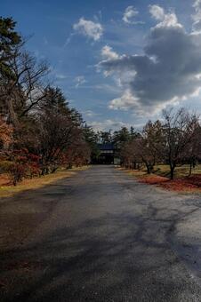 秋の弘前城散歩 弘前城,弘前公園,紅葉の写真素材
