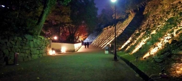 和歌山城紅葉渓庭園のライトアップ 和歌山城紅葉渓庭園のライトアップ ライトアップ,夜景,紅葉の写真素材