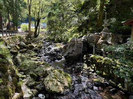 永平寺 夏の境内 永平寺 夏の境内 永平寺,福井,河原の写真素材
