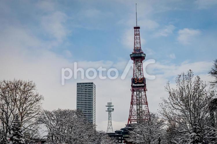 北海道　さっぽろ雪まつりの風景 北海道,札幌,札幌市の写真素材