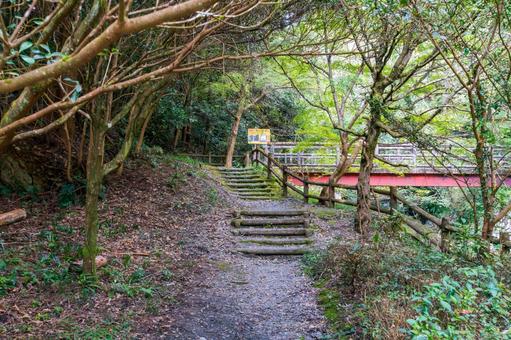 静岡県浜松市　秋の仙厳の滝 遊歩道 日本,静岡県,浜松市の写真素材