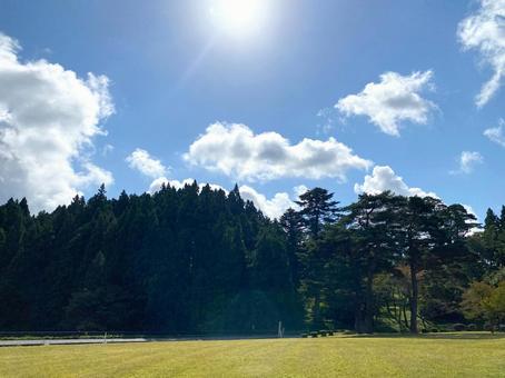 夏の空と芝生の公園2の写真