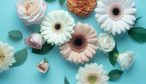 10月誕生花 ガーベラとバラ 10月誕生花 ガーベラとバラの写真