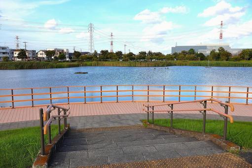 上総更級公園の「修景池へ向かう階段」 上総更級公園の「修景池へ向かう階段」 階段,手摺り,上総更級公園の写真素材
