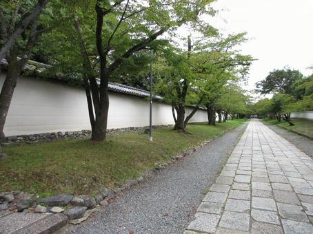 京都府-醍醐寺-参道 京都府-醍醐寺-参道の写真