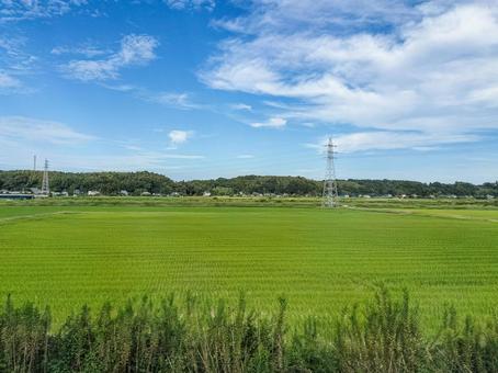 京成線車窓より 九月の佐倉市角来の田園 京成線車窓より 九月の佐倉市角来の田園 田圃,稲作,米作りの写真素材