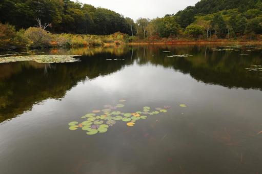 志賀高原 一沼2 志賀高原 一沼2 湖,沼,自然の写真素材