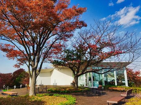 秋の魔法の文学館 文学,魔法,角野栄子の写真素材