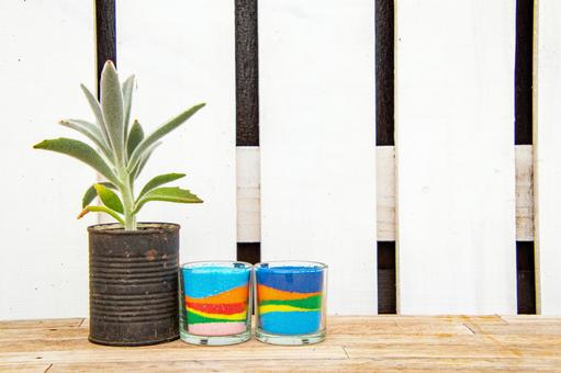 Fashionable interior succulents Fashionable interior succulents