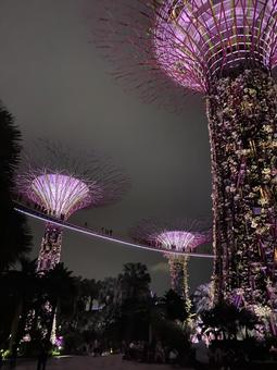 Supertree Grove, JPG