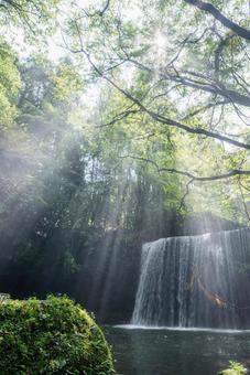 熊本県　夏の鍋ヶ滝と光芒 熊本県,熊本,絶景の写真素材