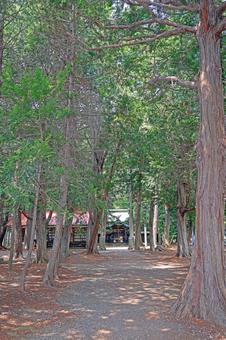 Photo, tohagi shrine, sarutahiko mikoto, celestial life, 