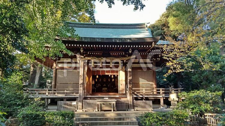 奥沢神社 神社,奥沢神社,奥沢の写真素材