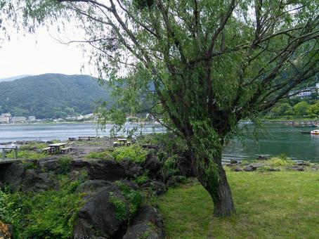 曇り空の 河口湖 の 風景 曇り空の 河口湖 の 風景の写真