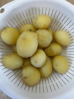 Photo, potato, boil, a lot of, 
