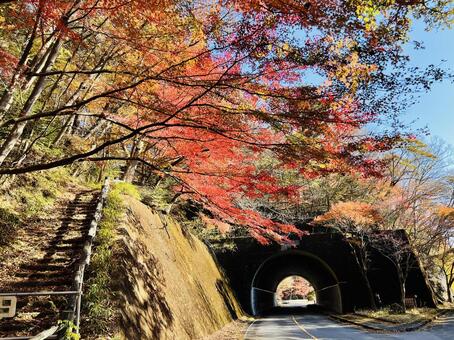 紅葉に彩られた山道のトンネル 紅葉,トンネル,秋の写真素材