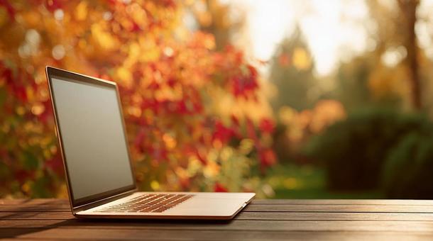 紅葉の中で働くノートパソコン 紅葉の中で働くノートパソコンの写真