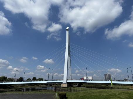 しらこばと橋 しらこばと橋 壁紙,背景,越谷の写真素材