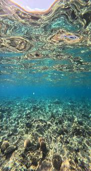 Ishigaki Island Under the Sea, JPG