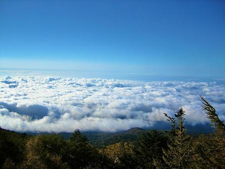山の上の雲海 雲海,山,ロケーションの写真素材
