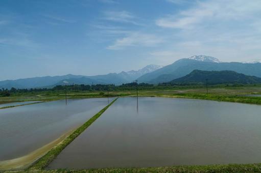 水田の景色 水田の景色の写真