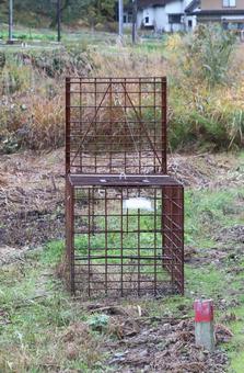 箱罠（熊罠）熊対策 箱罠,熊,クマの写真素材