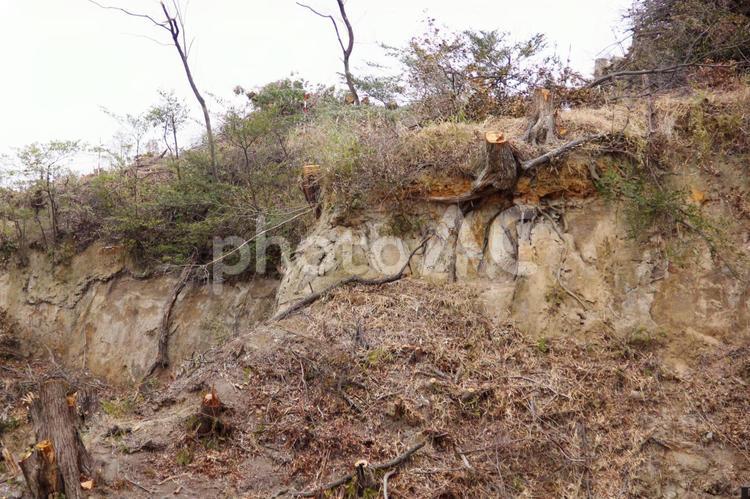 環境破壊 環境破壊,環境問題,斜面の写真素材