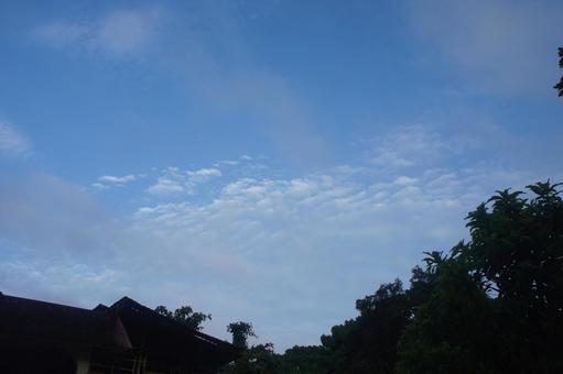 Photo, sky, blue sky, thin cloud, 