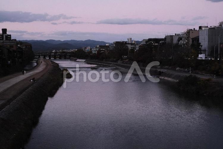 夕暮れ時の鴨川 反射,川,風景の写真素材