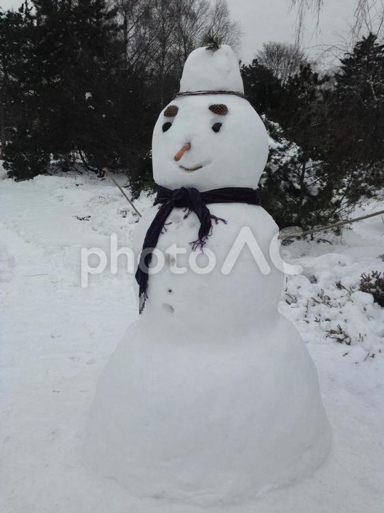 ウィーン（ビエナ）の雪だるま 雪だるま,３段雪だるま,３段の写真素材