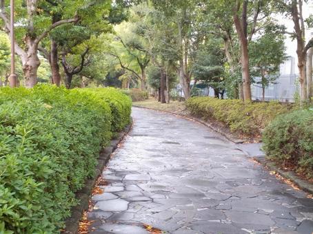 歩道 歩道,道,通路の写真素材