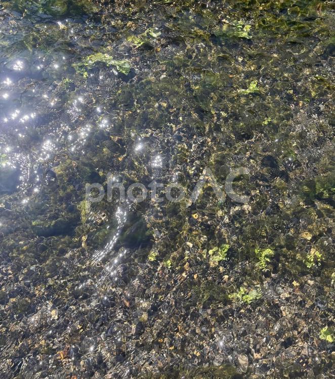きらきら光る川底 水面,川底,石と苔の写真素材