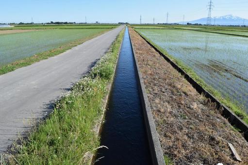 農業用水路と農道 田園風景 農道,農業用道路,農業用の道路の写真素材